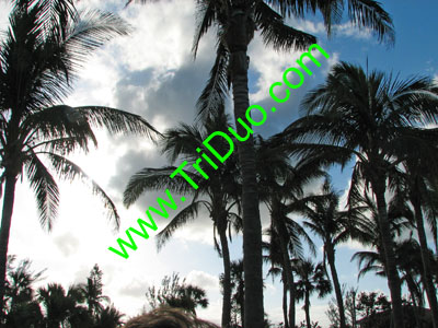 Scenes from Grand Bahama Island Photo