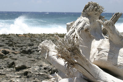 Cayman Brac Photo